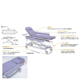 省力昇降機構付ストレッチャー 担架固定型･サイドレール水平固定タイプ  TY229FS-DB (背上げあり)